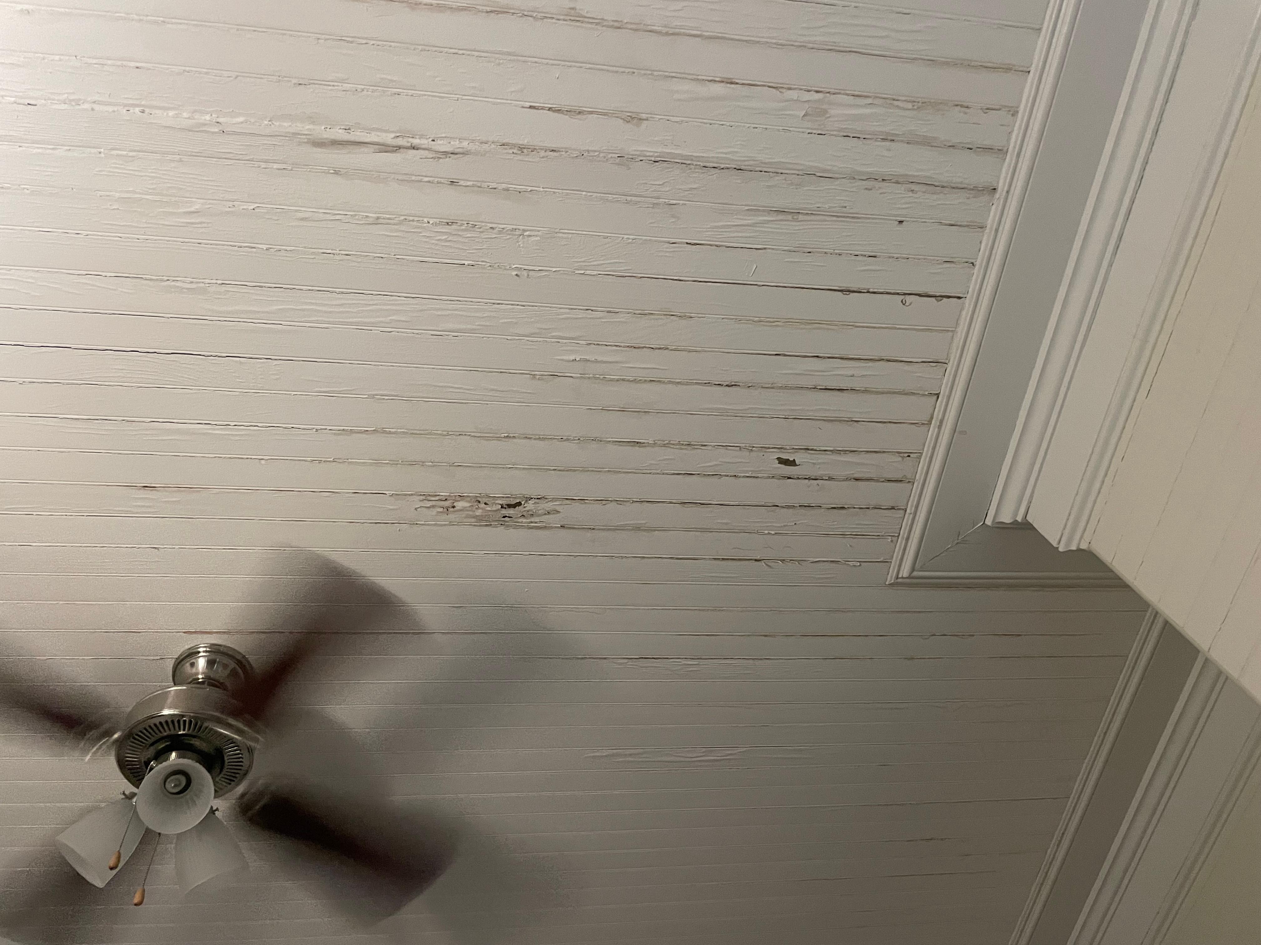 Picture of water stains from leaks on room ceiling 