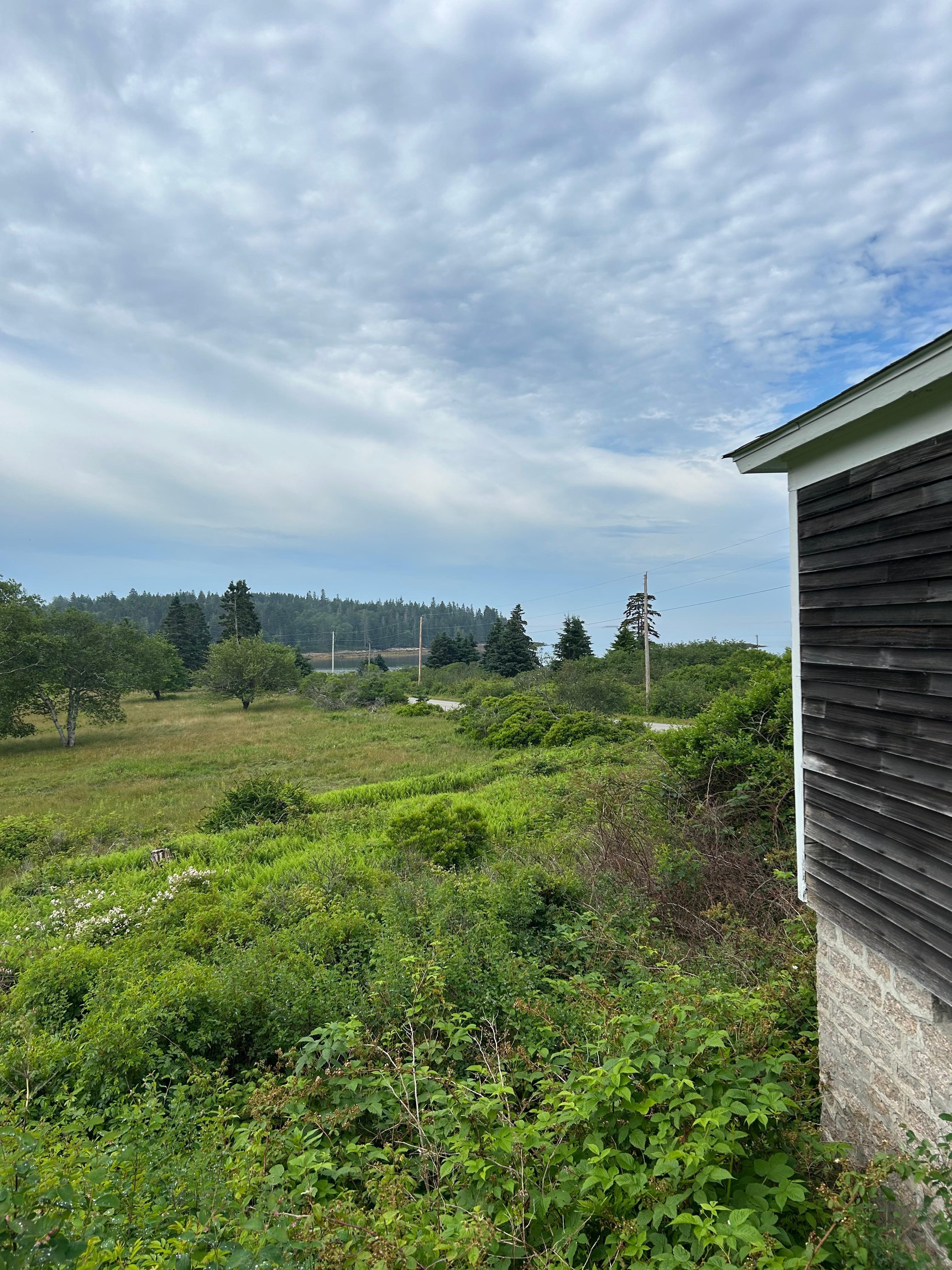 Field view past the house