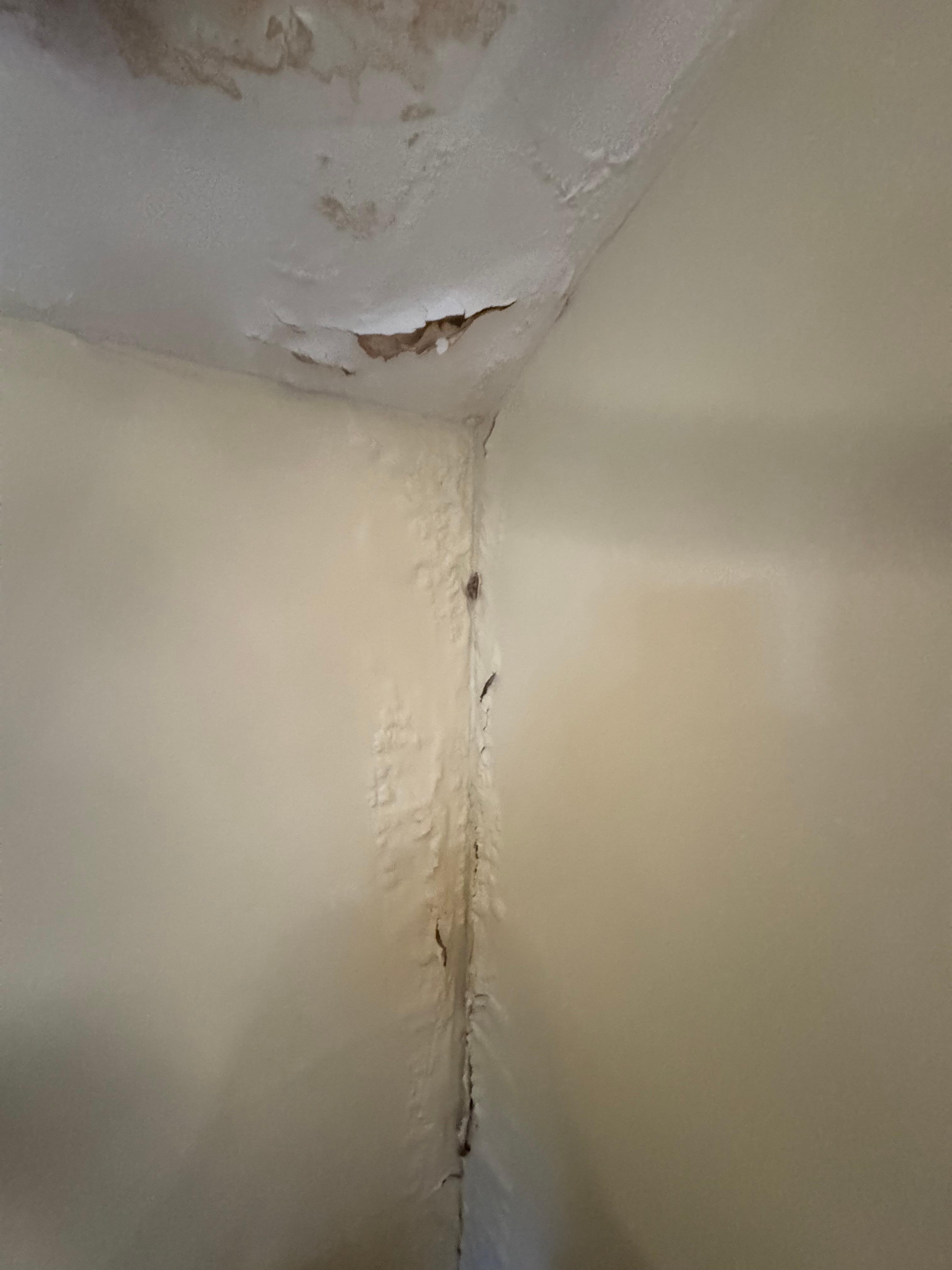 Water damage front bedroom 