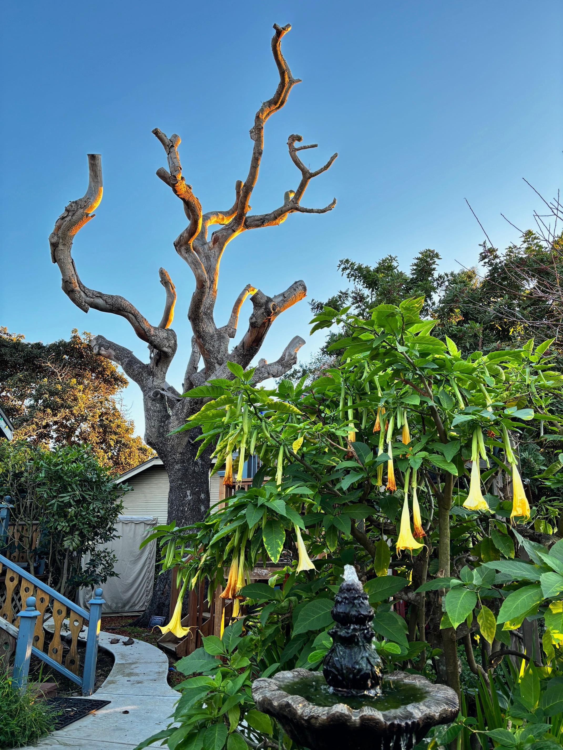 Perfect for bird watching.