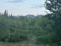 View of carcross mtna
