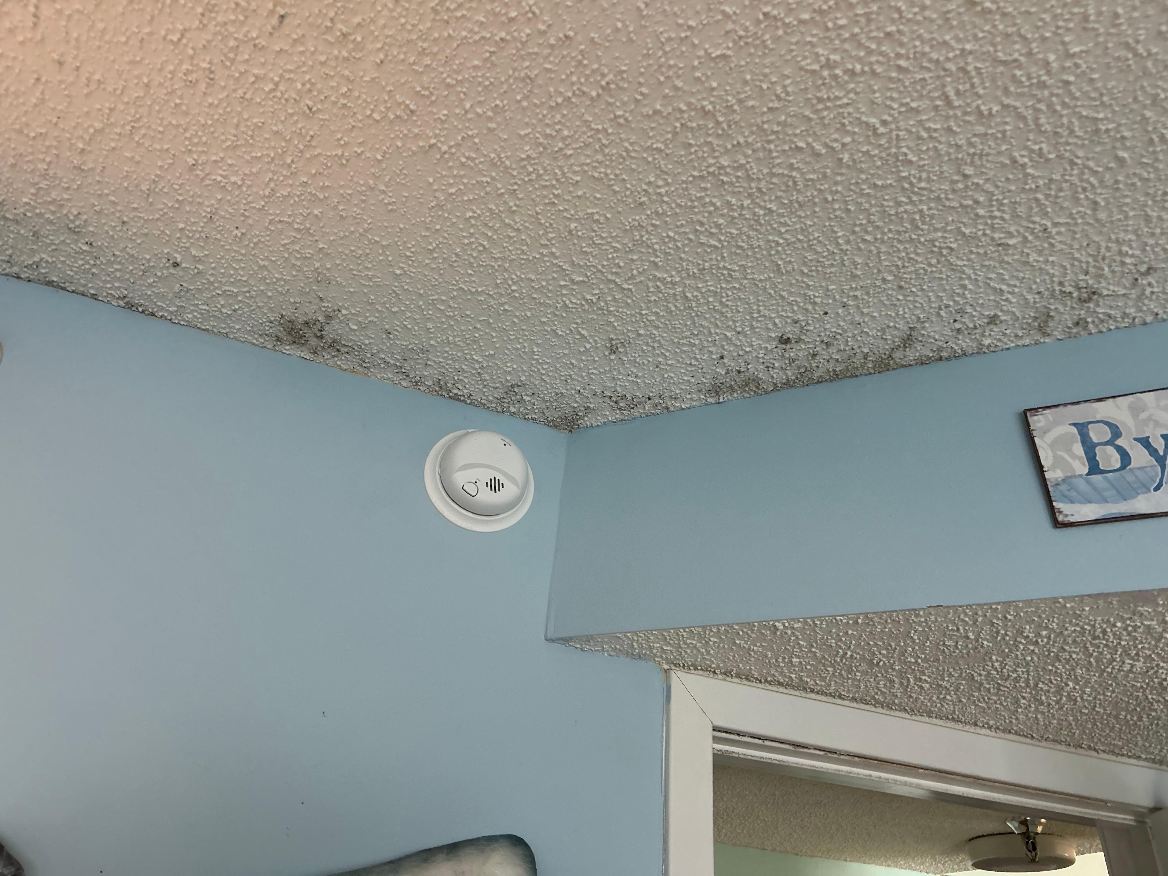 Mold in master bedroom 