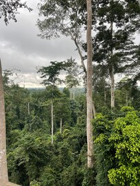 In Kakum NP