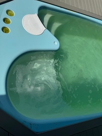 Algen im Pool