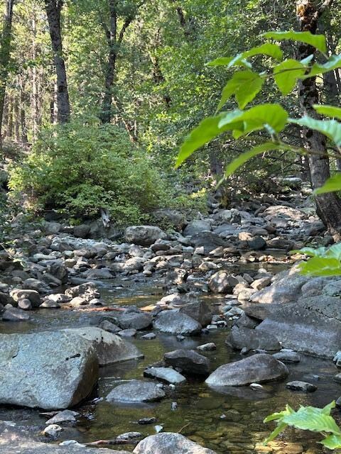 Took a short walk to creek behind house!