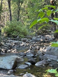 Took a short walk to creek behind house!