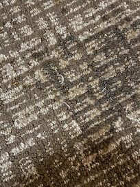 Toenails on the floor everywhere