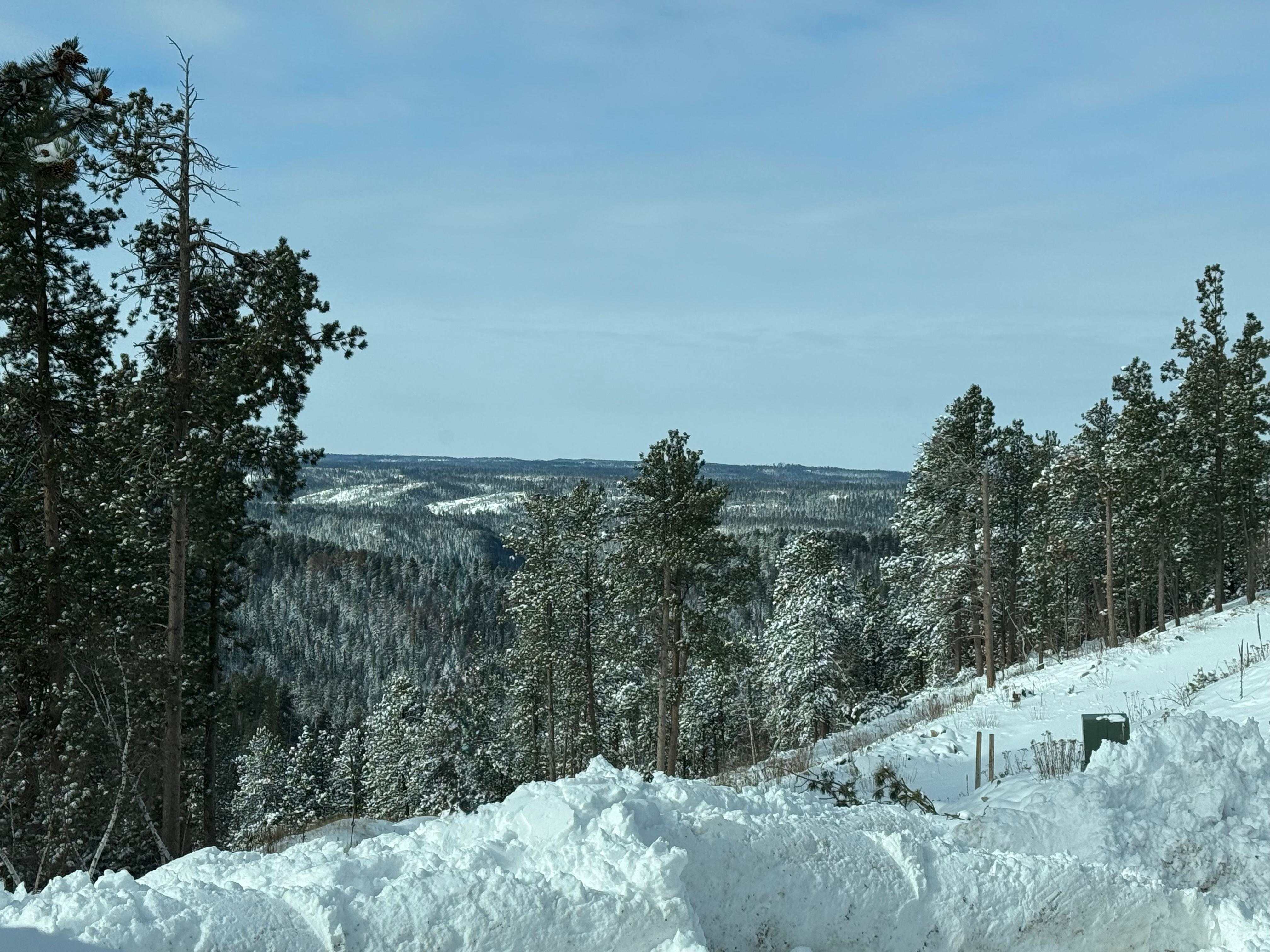 View from the front door of the home.