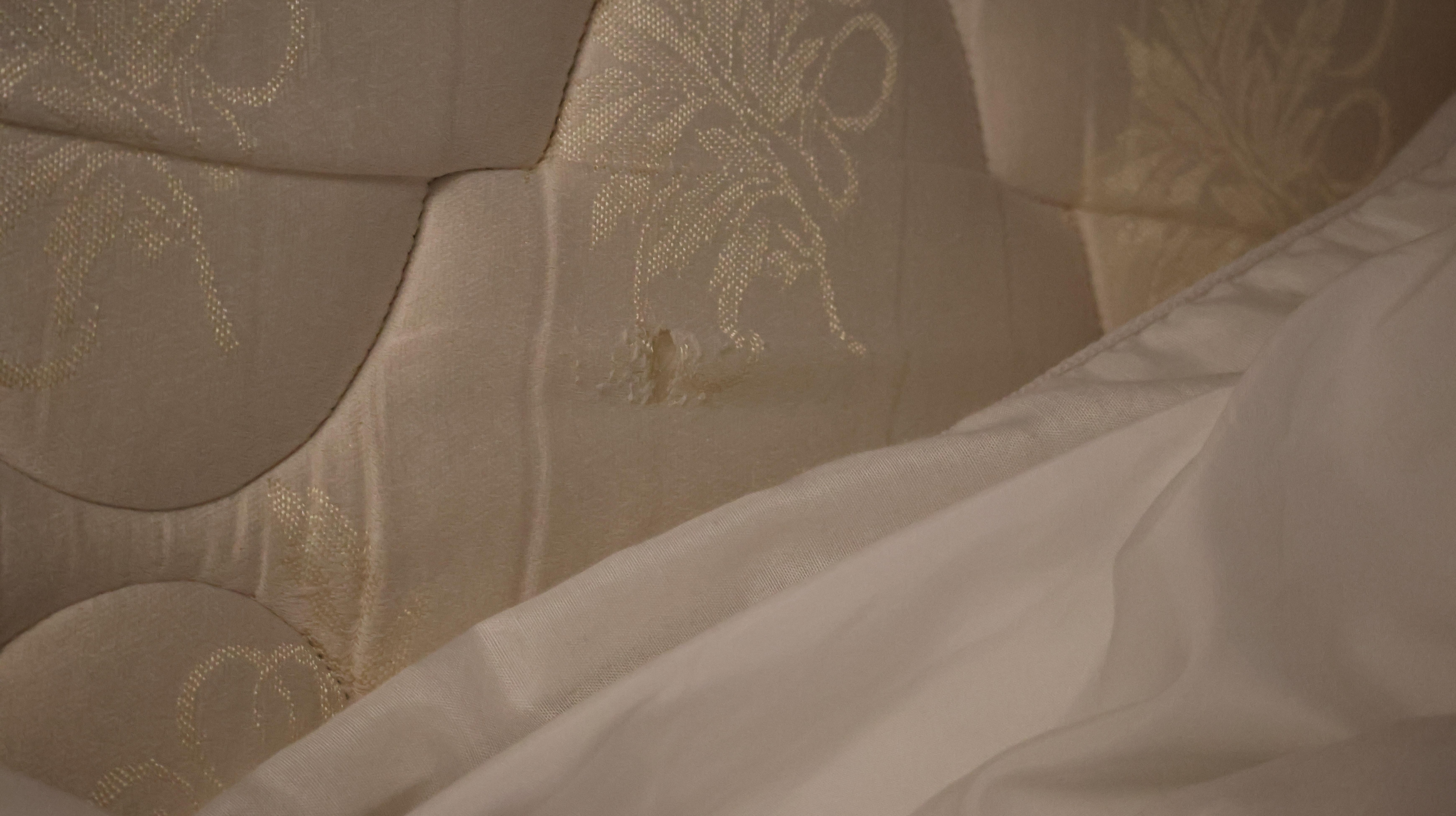 Rips in 2nd room’s mattress.