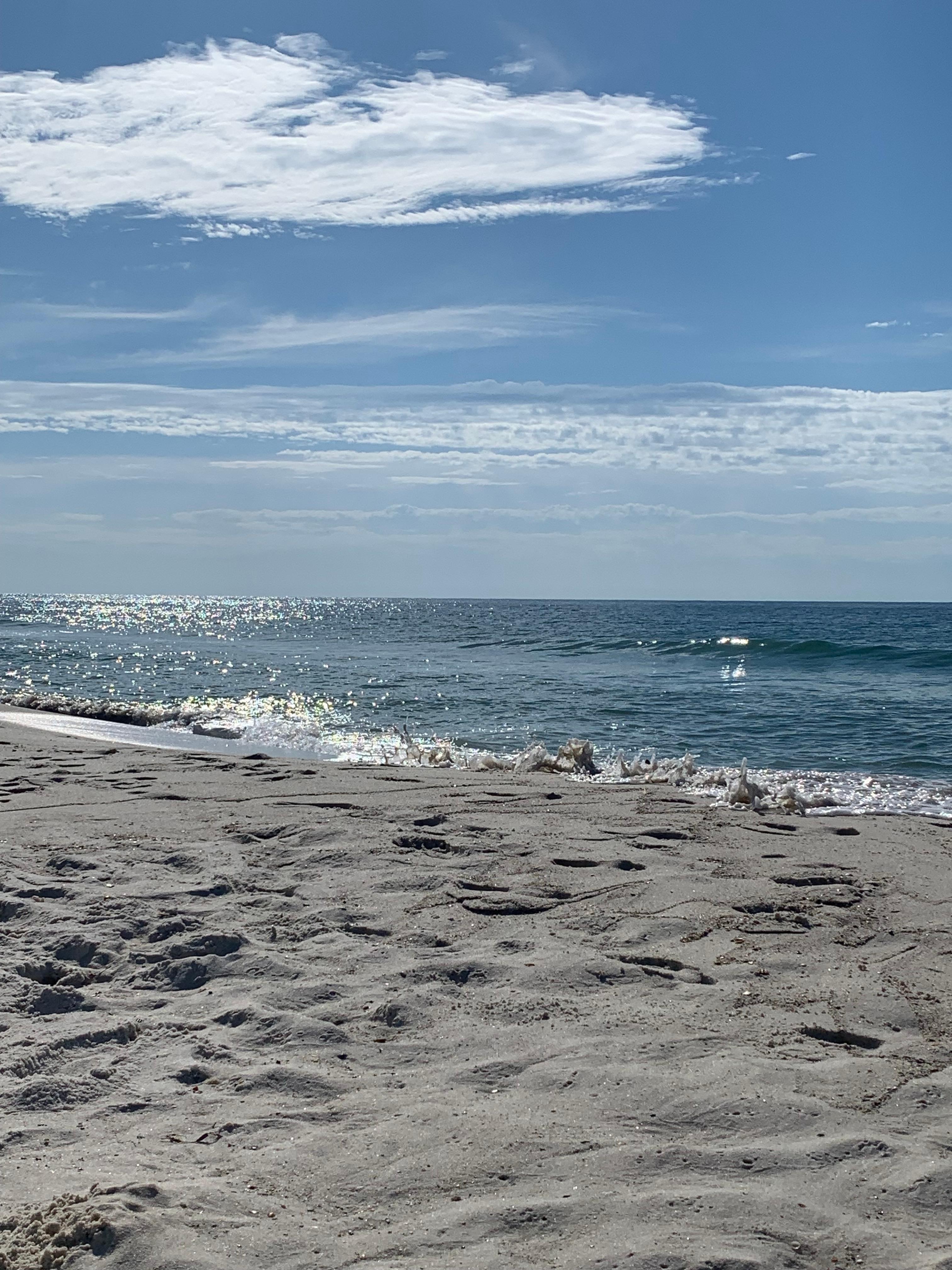 Morning on the beach 