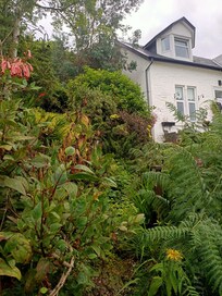 view from gardenhouse