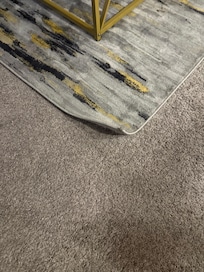 Throw rug over carpet, tripped a few times
Carpet was dirty and smelled