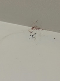 Ceiling in master bath when we arrived.