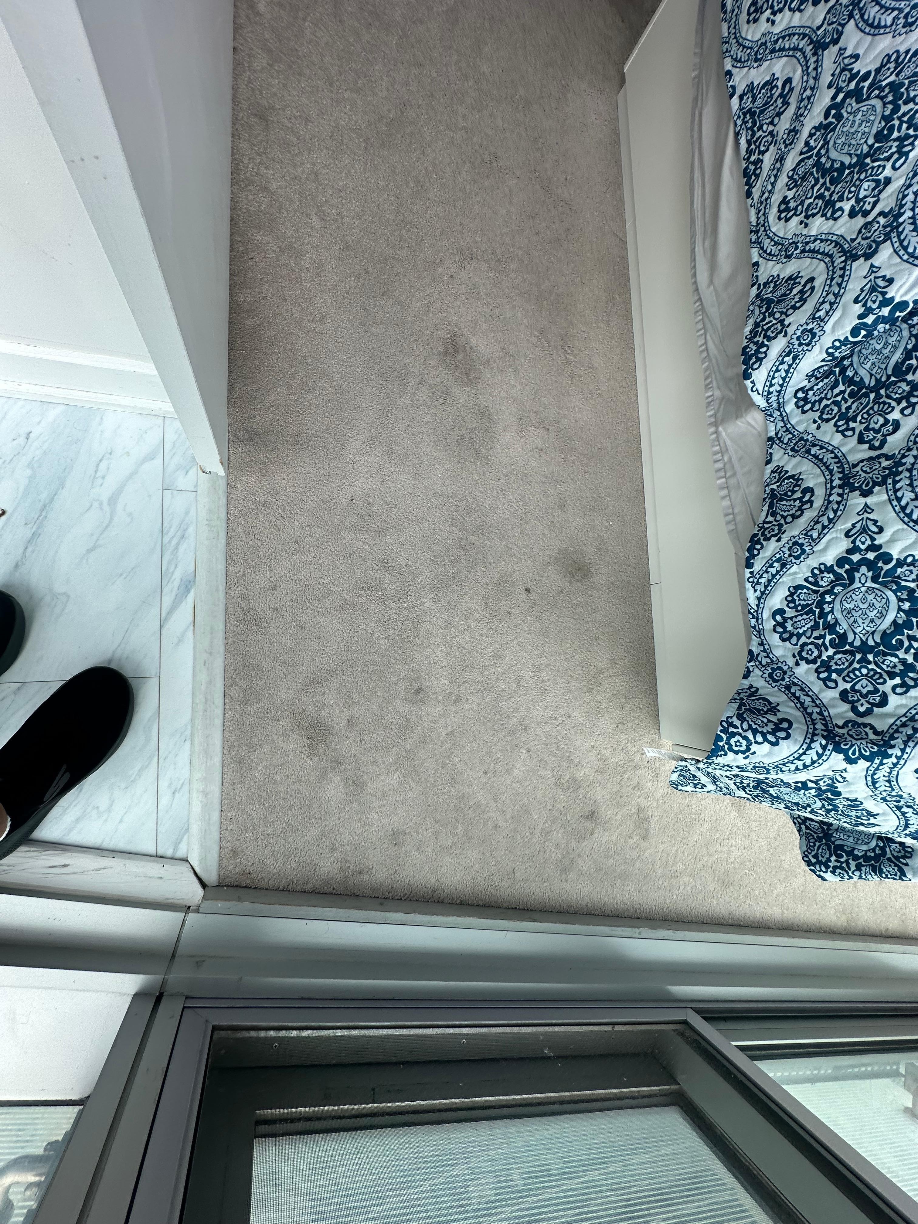 Carpet