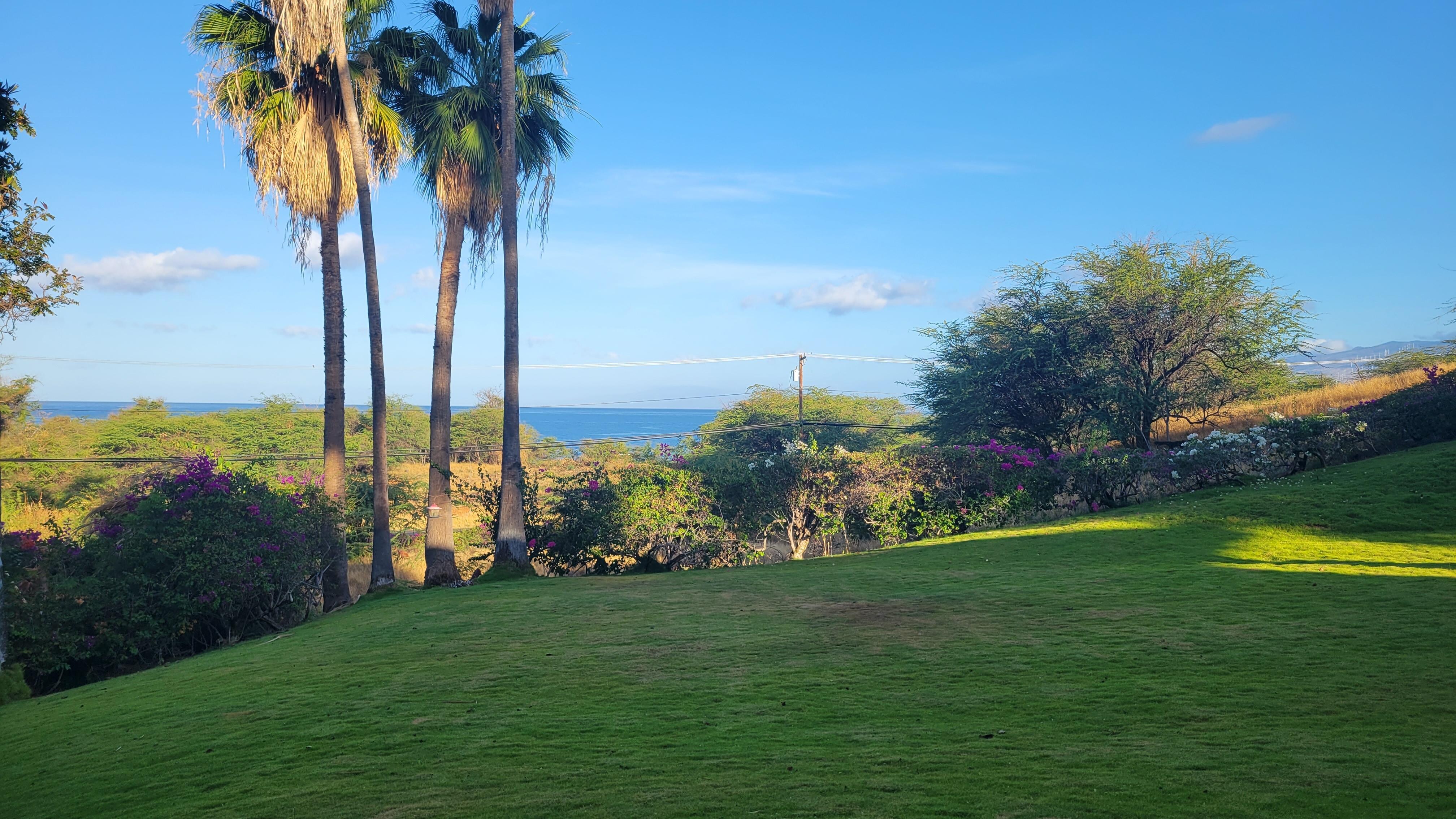 View from patio 