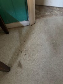 Stains and dirt on carpeting