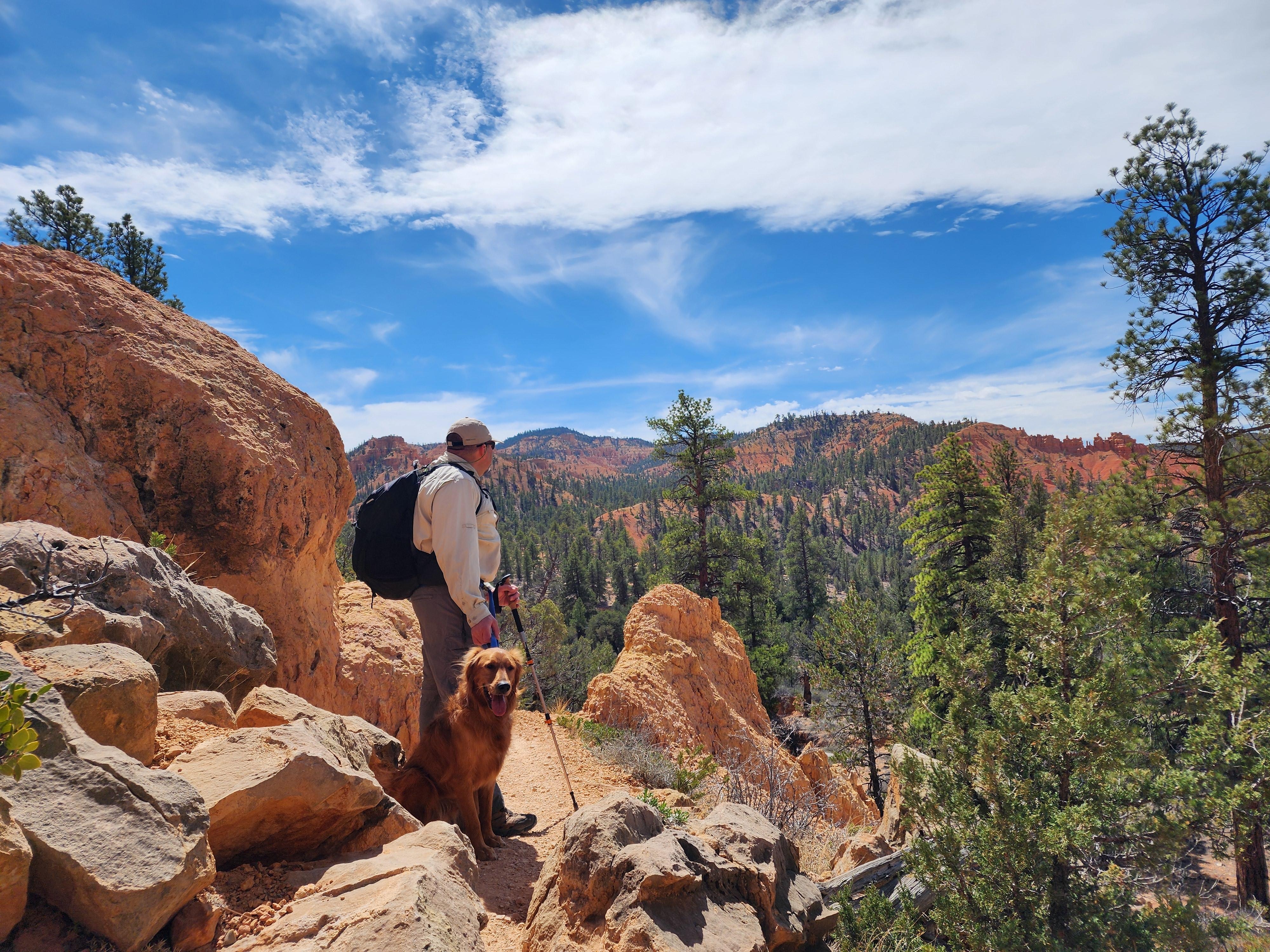 Dixie National Forest - Birdseye and Pink Ledges Trails