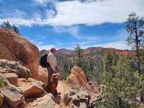 Dixie National Forest - Birdseye and Pink Ledges Trails