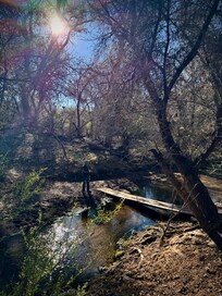 Anza Trail & Santa Cruz River runs behind Rancho Santa Cruz Guest Ranch.