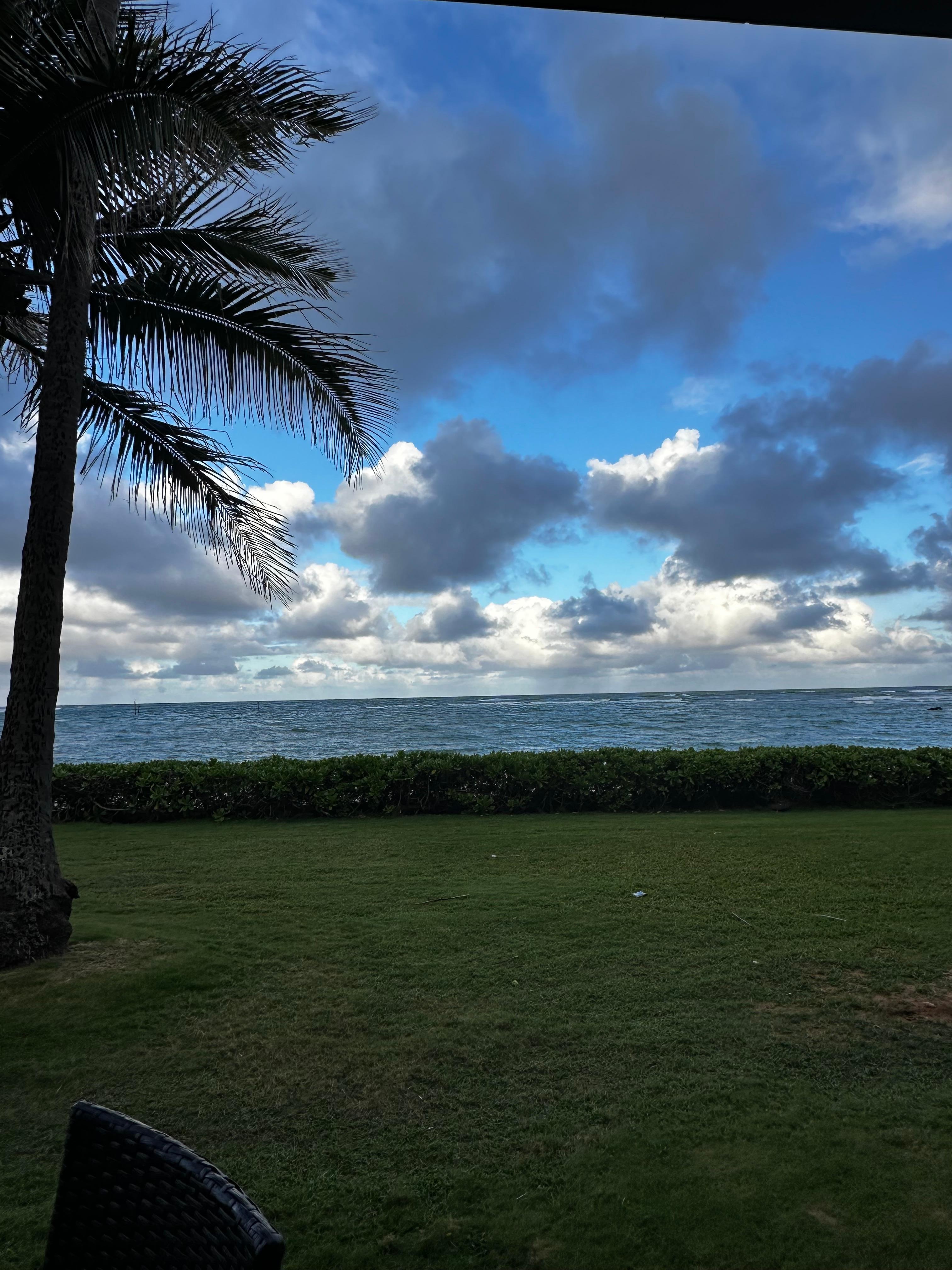 Early morning, from the condo lanai( patio)