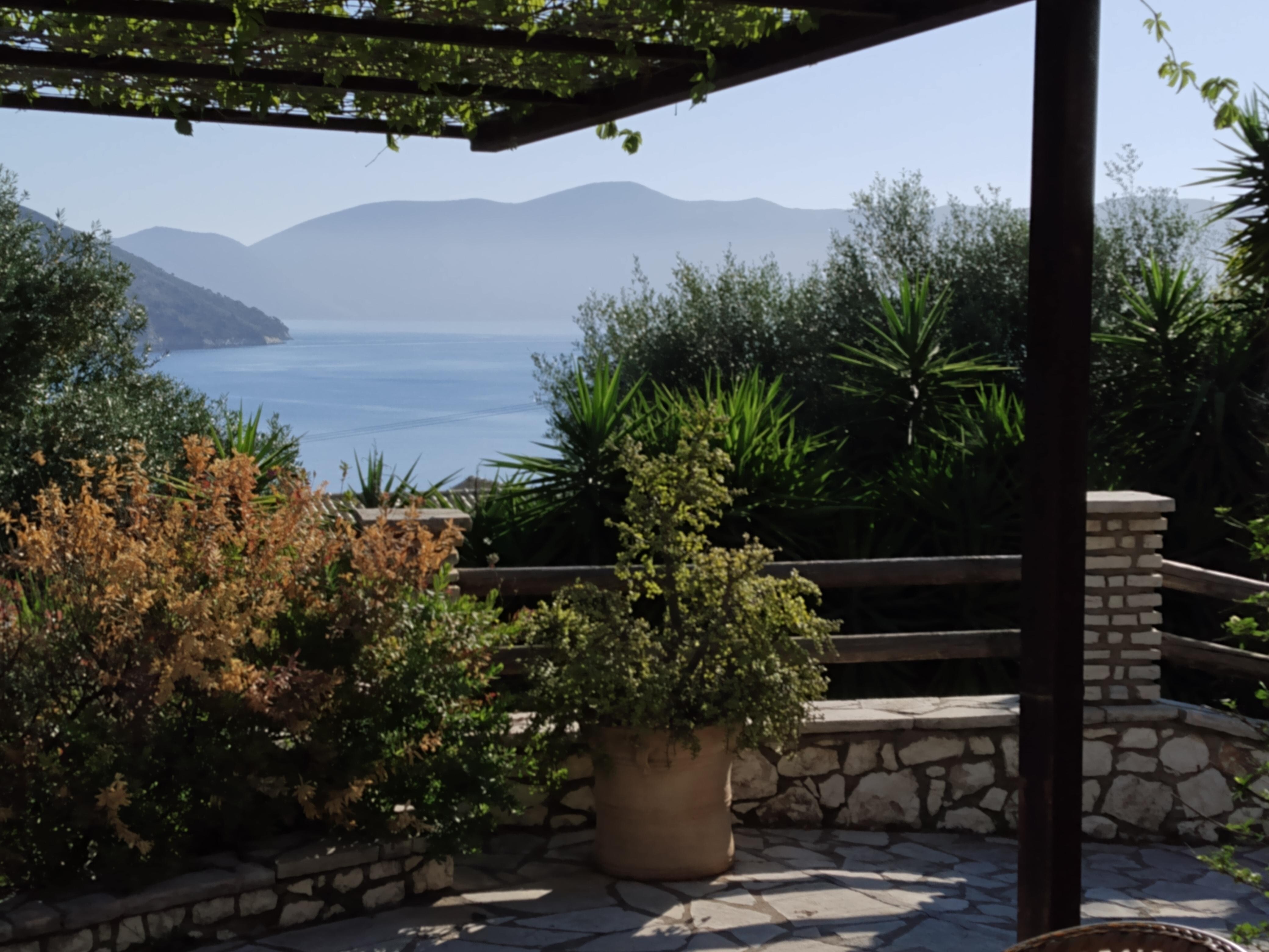 View from patio