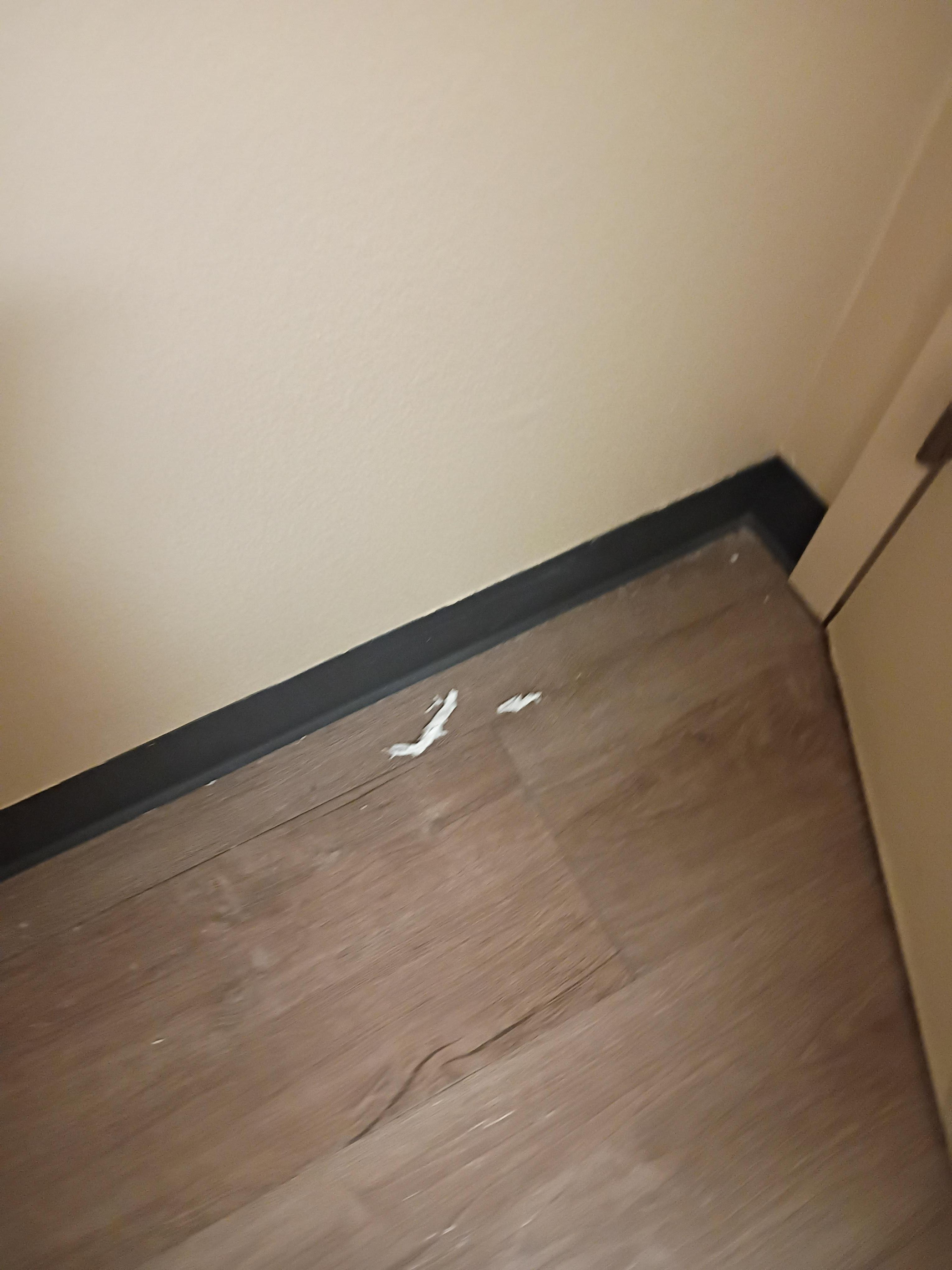 Tissue on the bathroom floor.