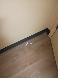 Tissue on the bathroom floor.