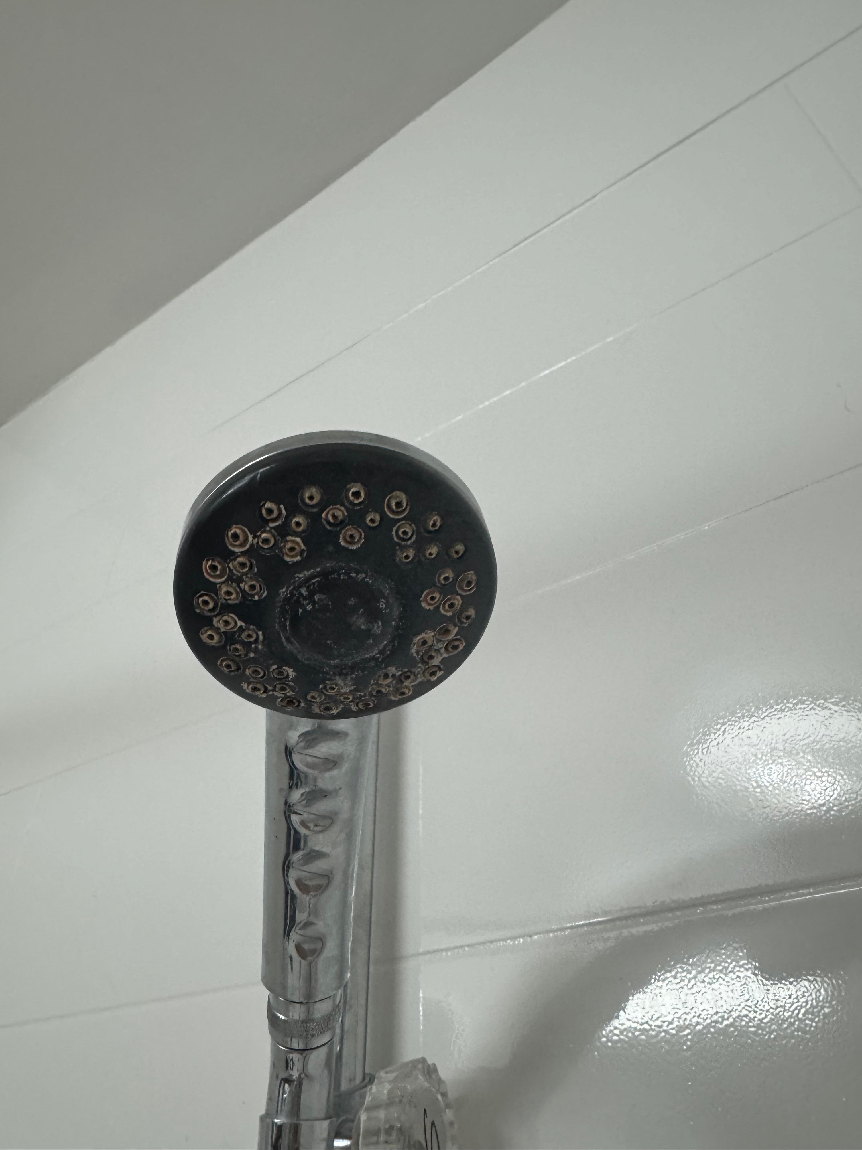 Dirty shower head