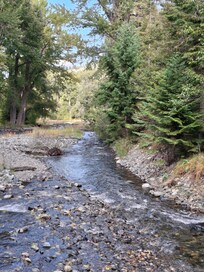 River by the state park. Saw many salmon making their way upstream.