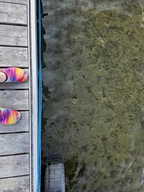The lake was so clear, even in the deeper water we could see the plants in the bottom.