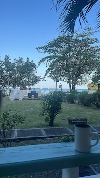 View from room - ground level