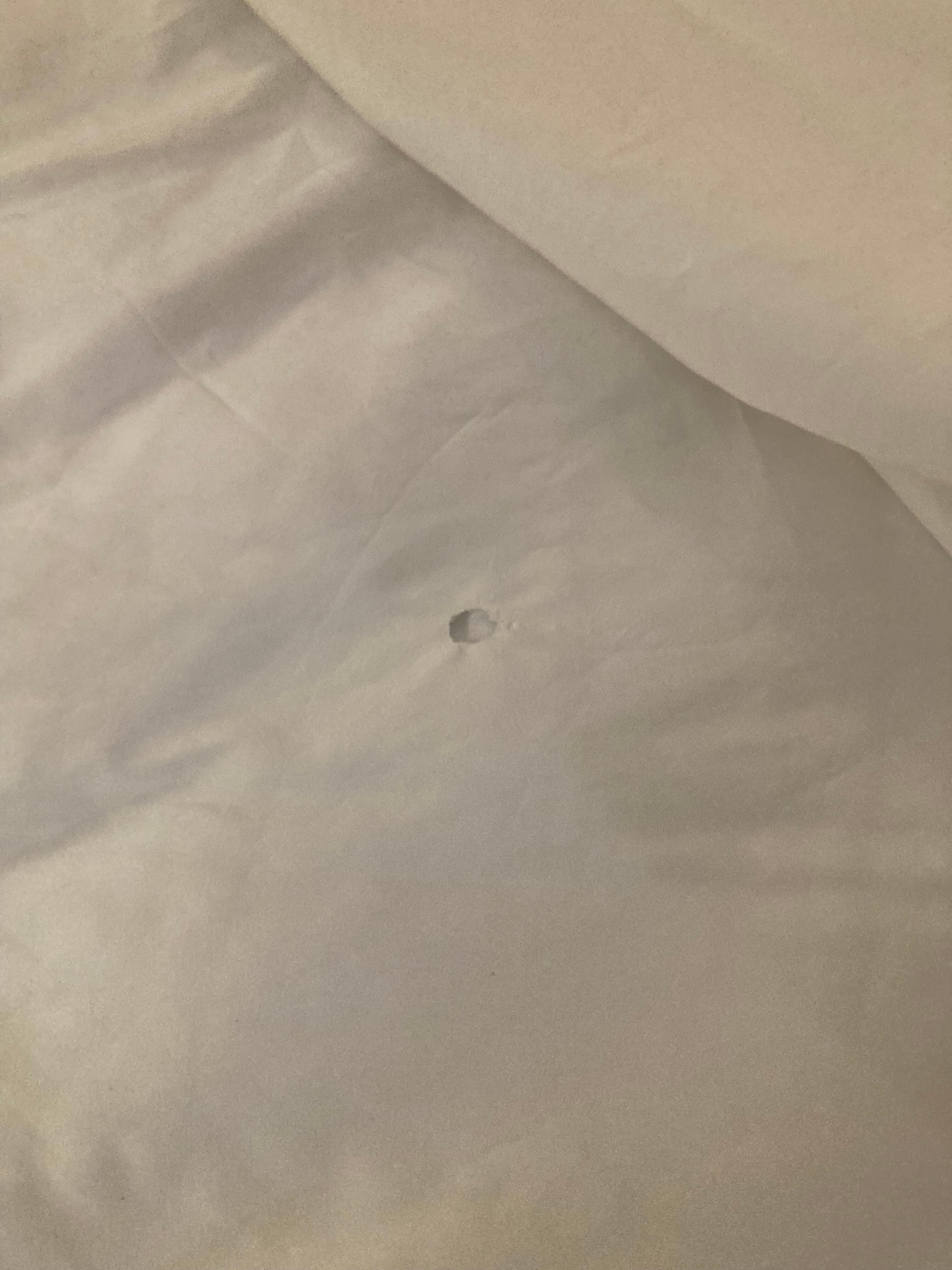 Sheets 