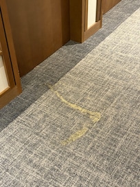 Carpet stain outside Rm 202