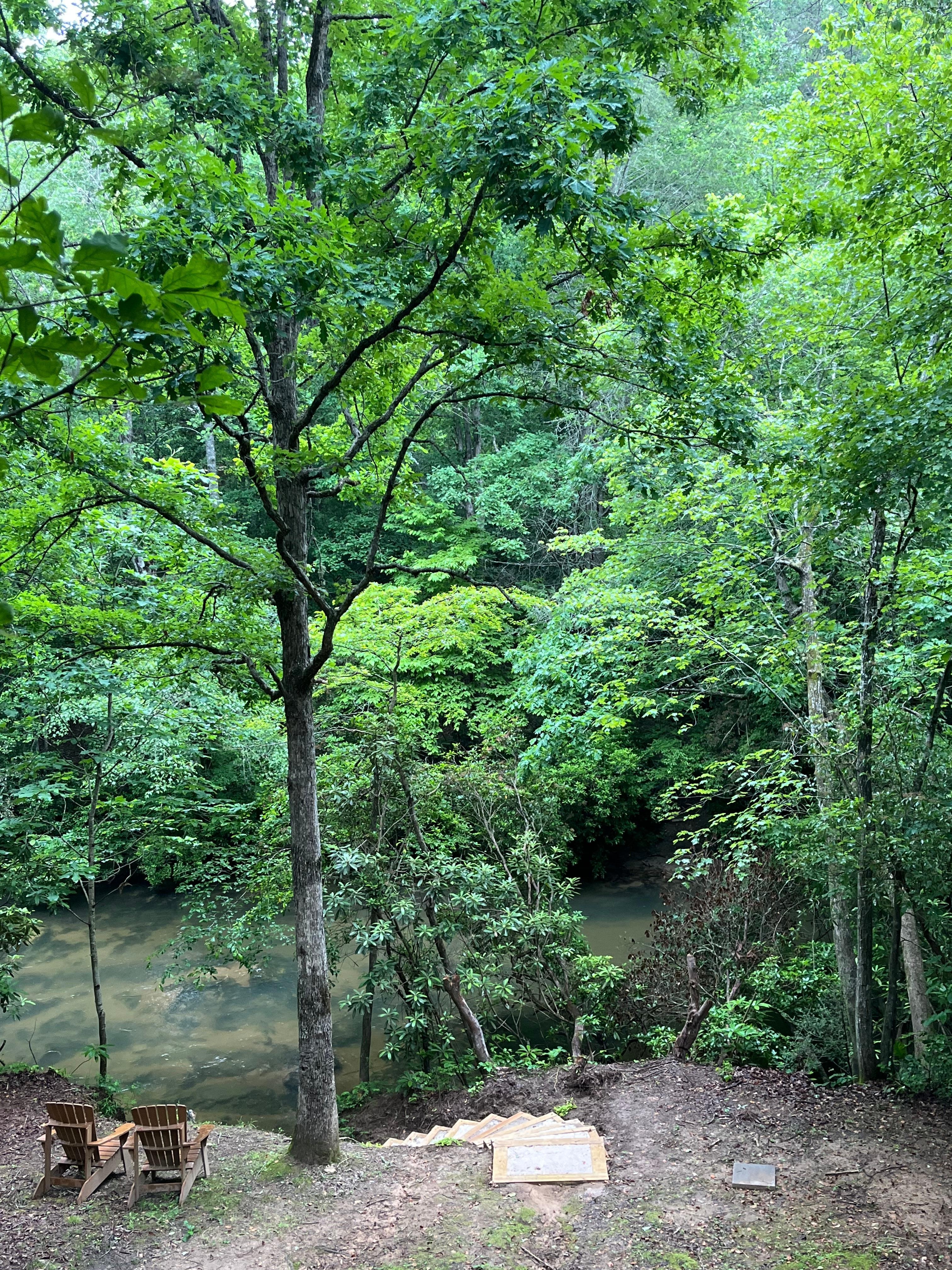 Peaceful flowing creek