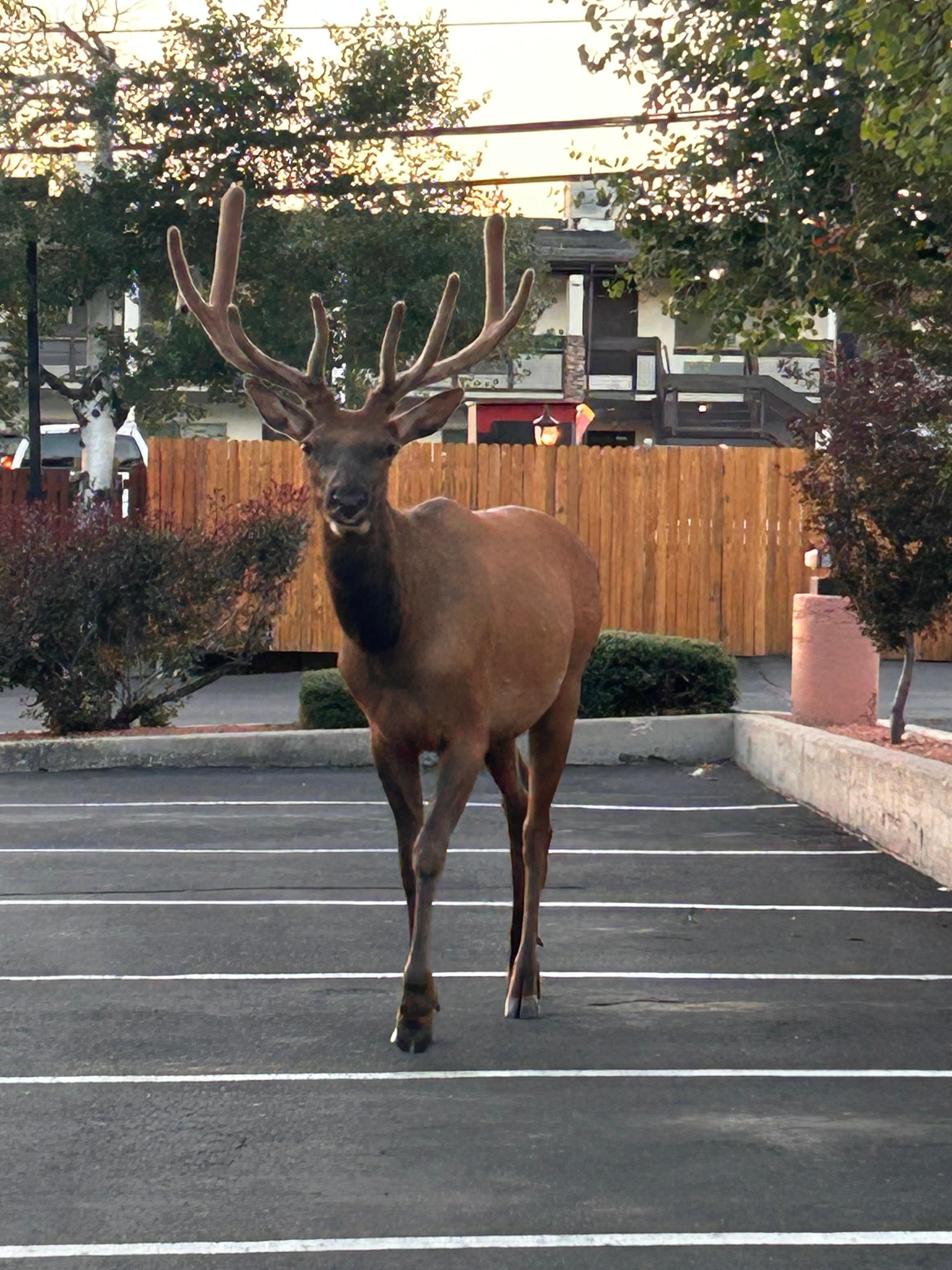 In the parking lot