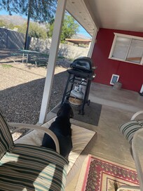 View from back patio and river rock yard with block privacy walls.