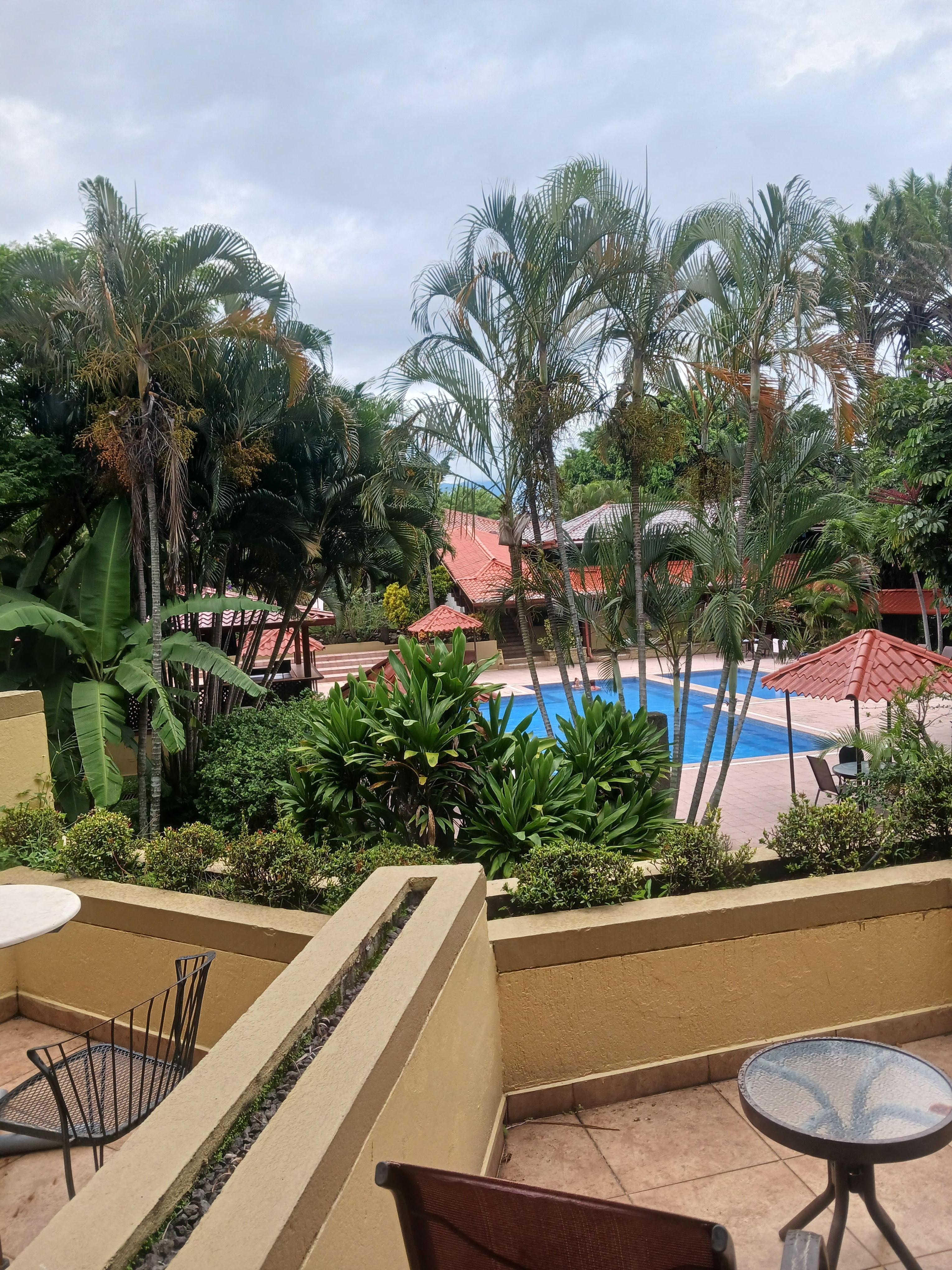 My view