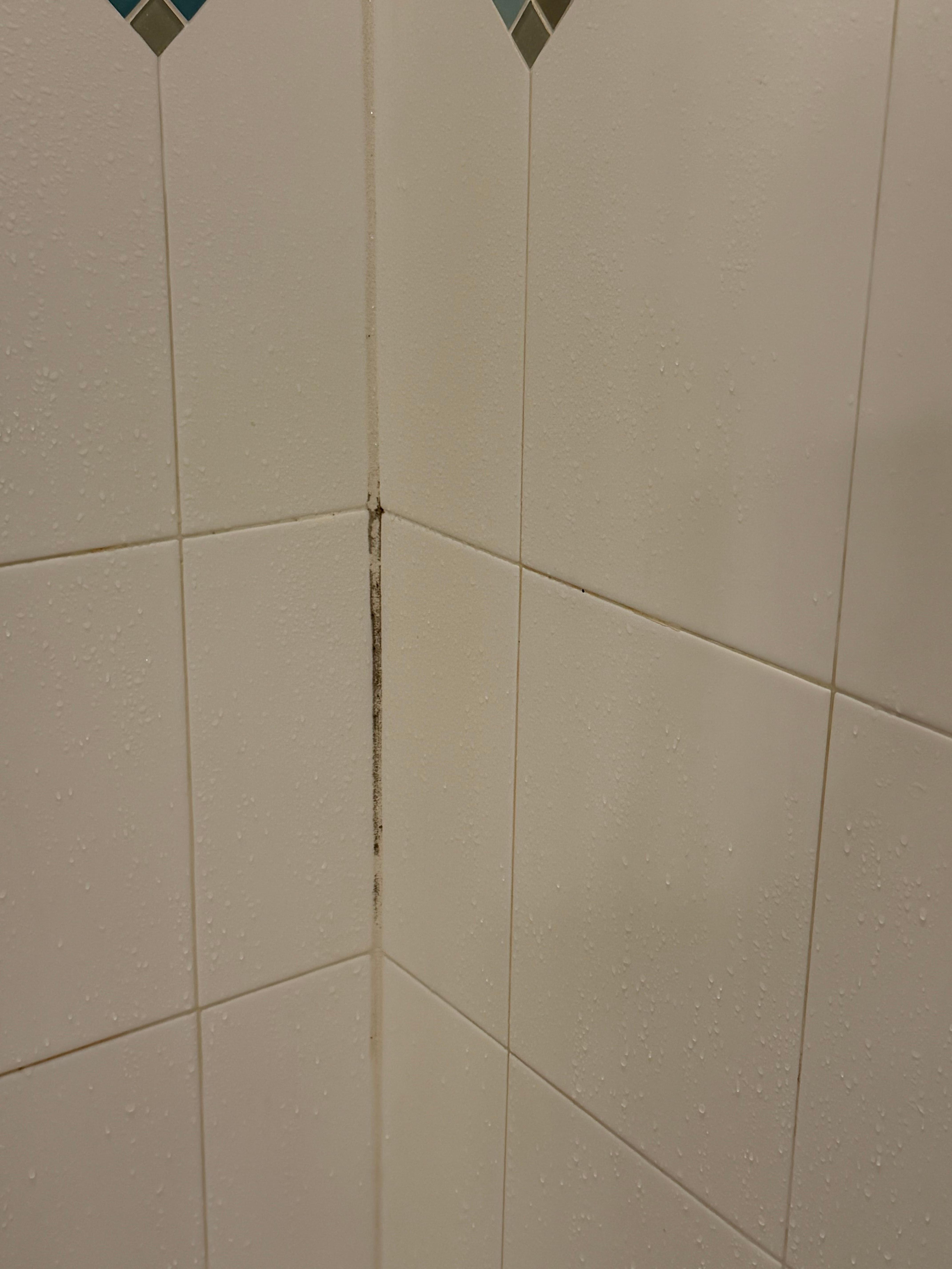 Mold in master bathroom