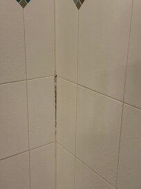 Mold in master bathroom