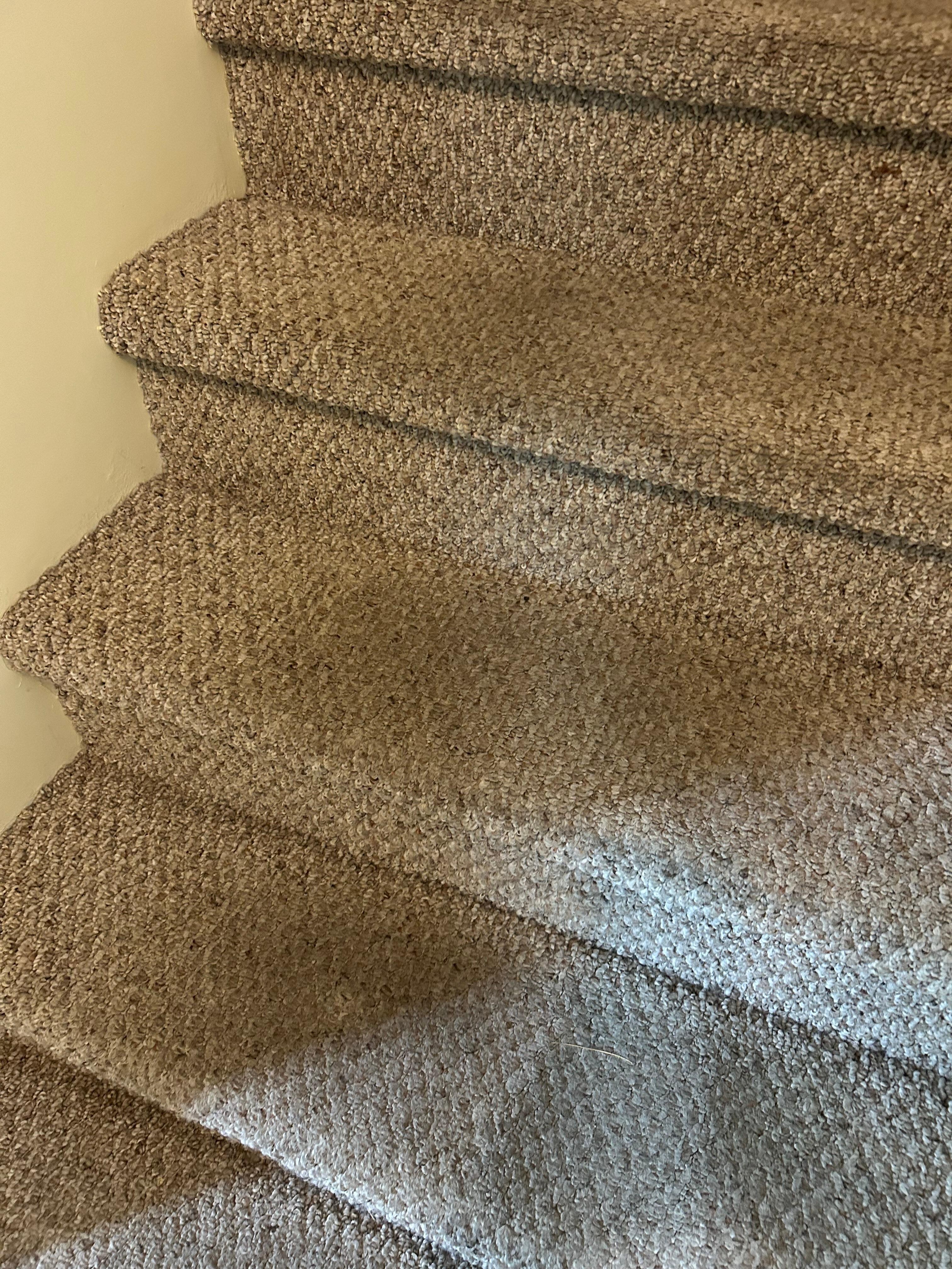Stained carpet