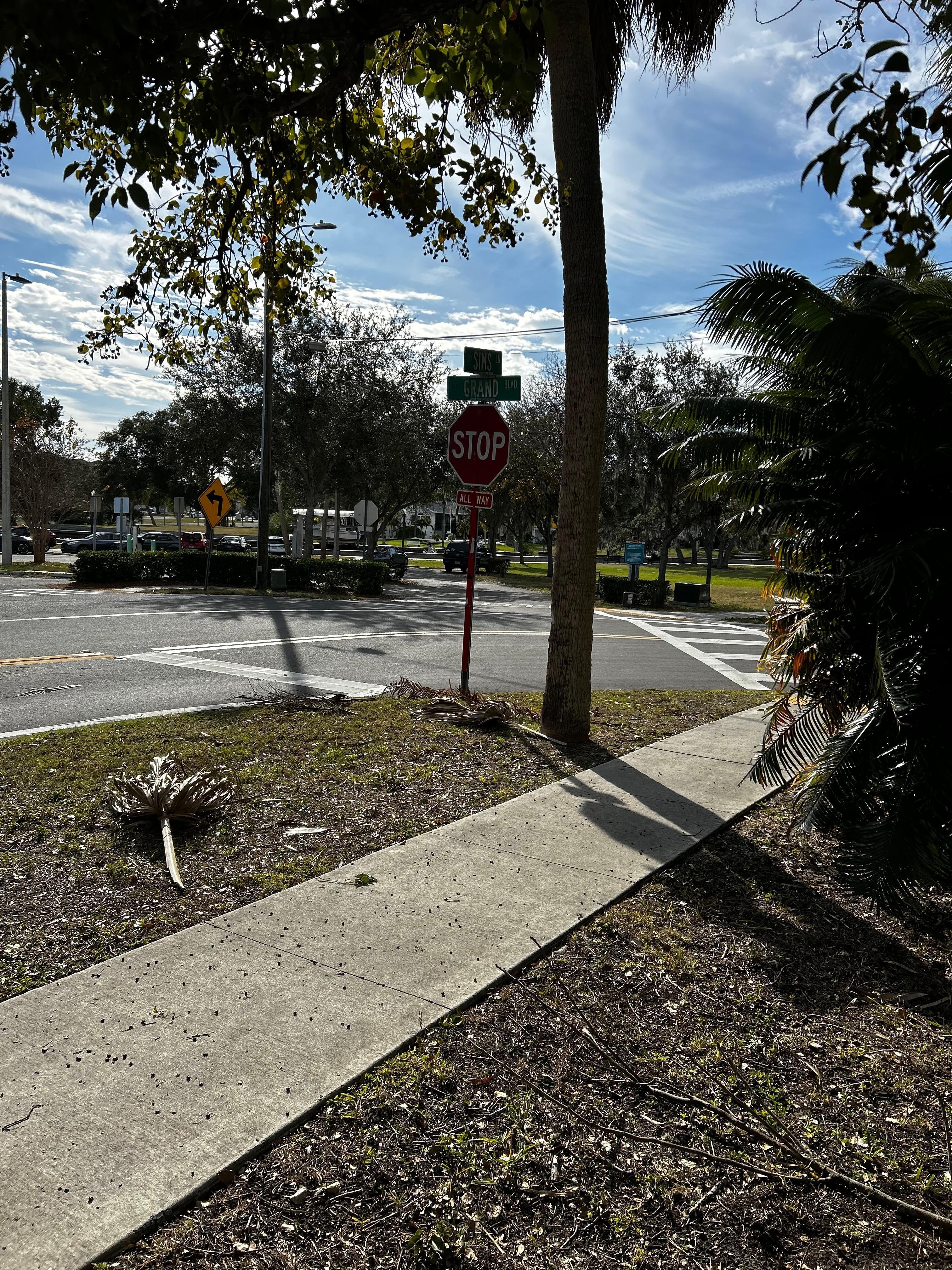 Sims Park across the street 