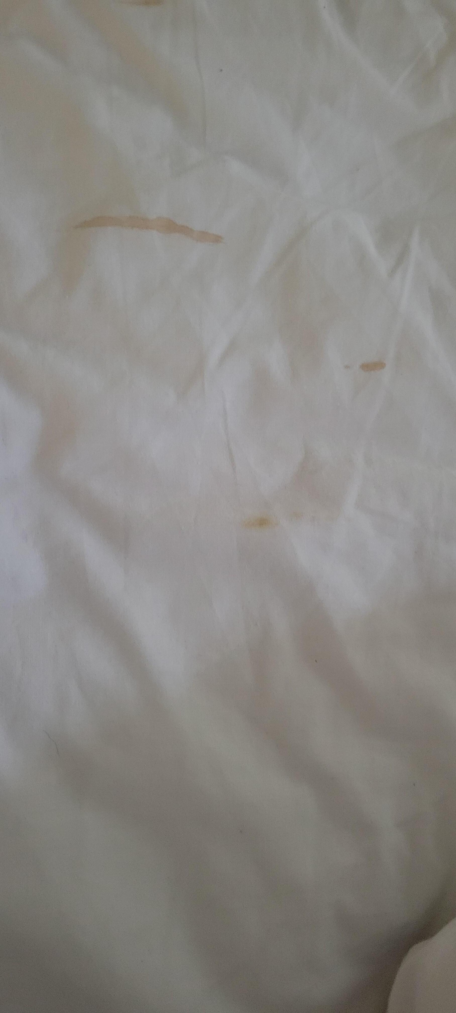 Blood stain on bed sheets 