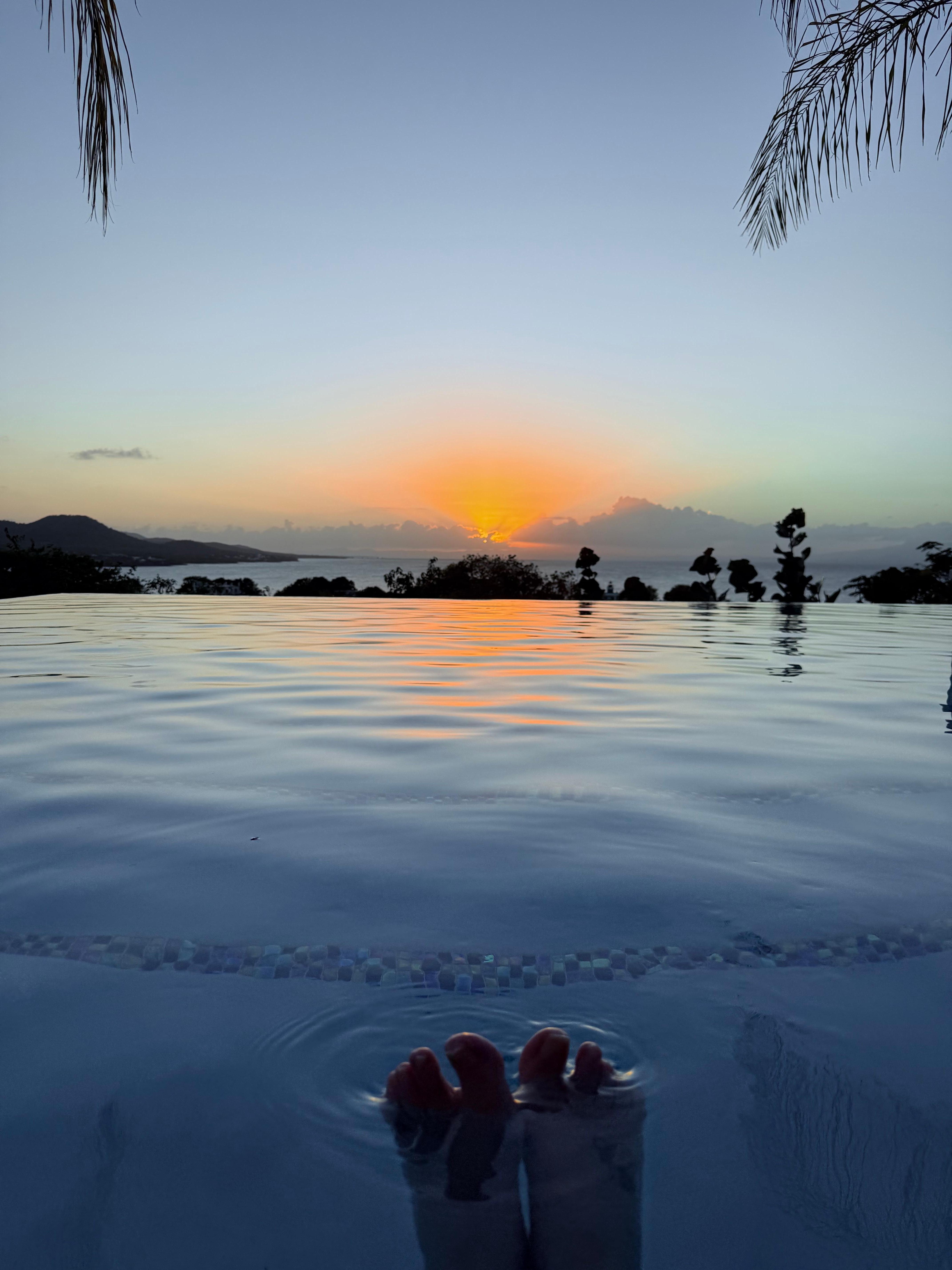 A view sitting in the pool.