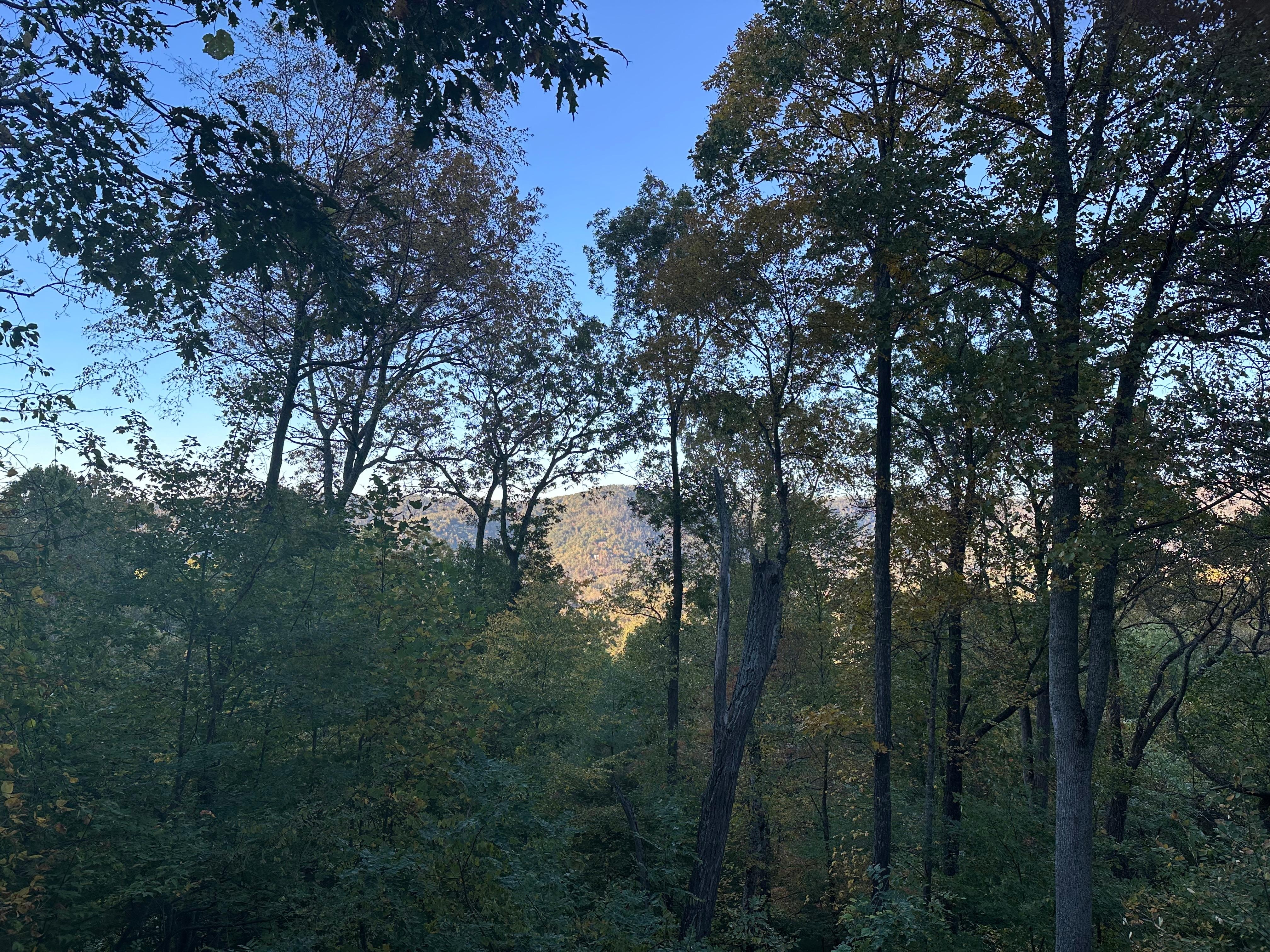 View from living room deck