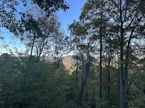 View from living room deck