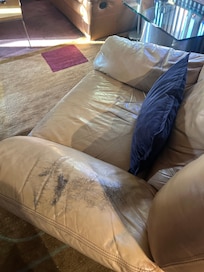 Dirty couch