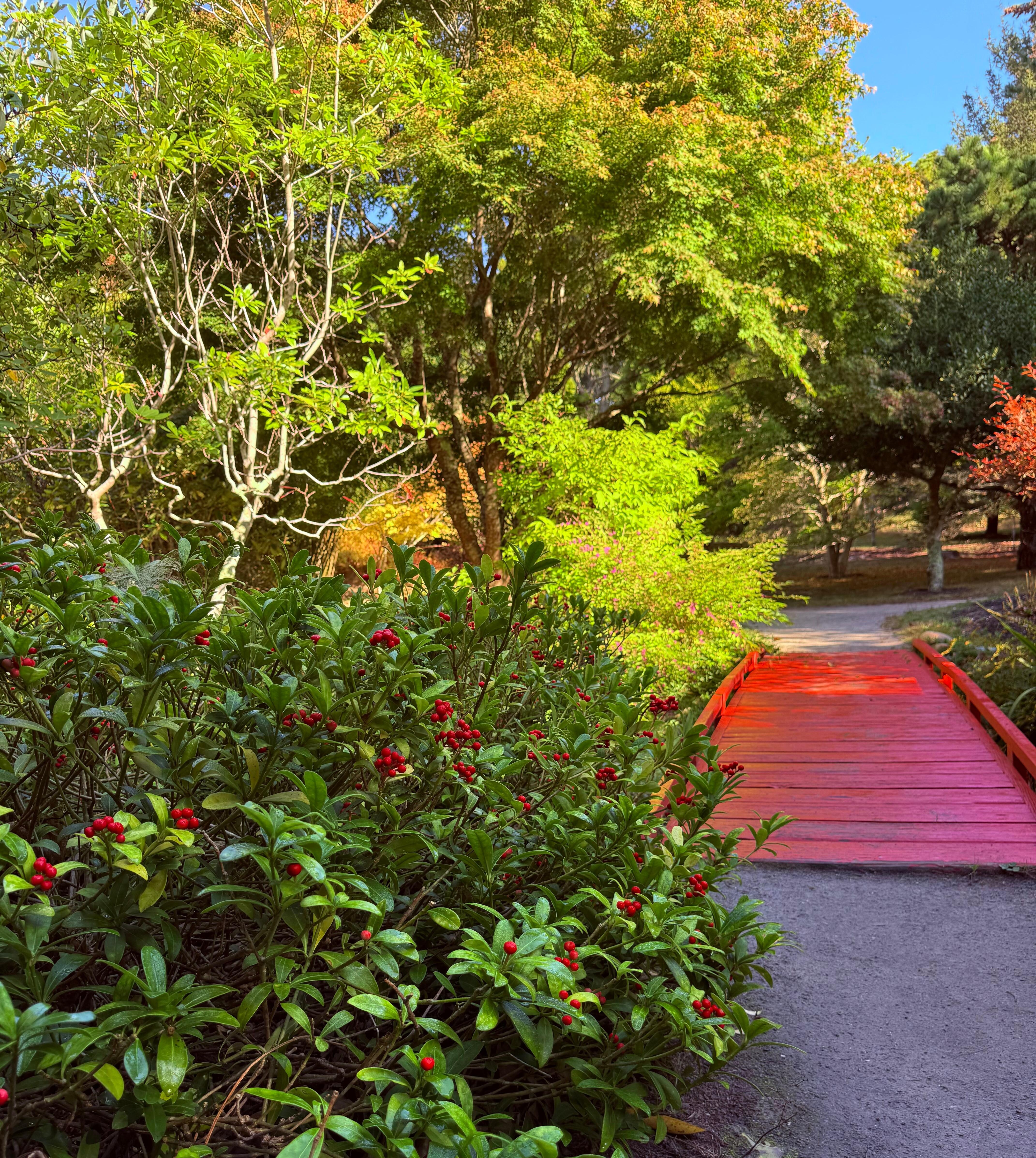 Mytoi is fun to explore by the dike bridge