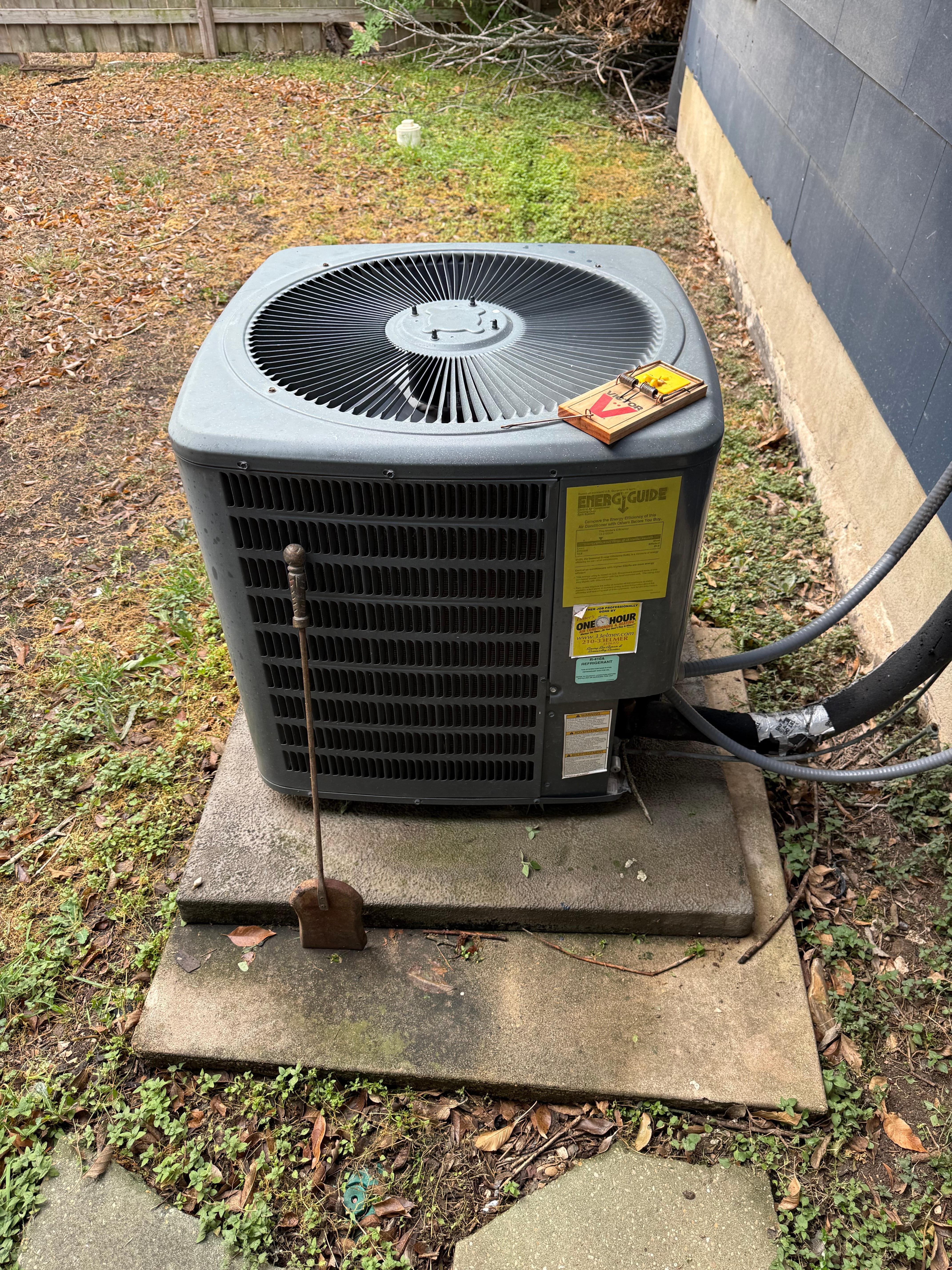 More traps and garbage in the yard 