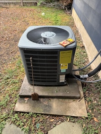 More traps and garbage in the yard