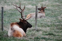 The cabin was peaceful, great place to unwind and enjoy nature.